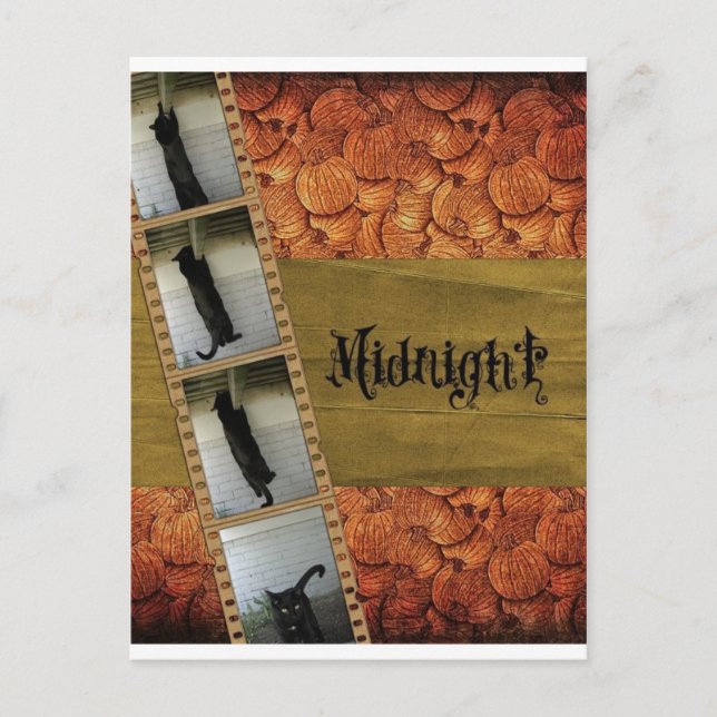 Postal Gato negro (Anverso)