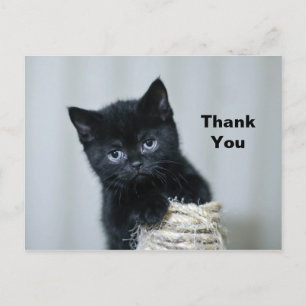 Postal Gato negro adorable cuerda foto gracias