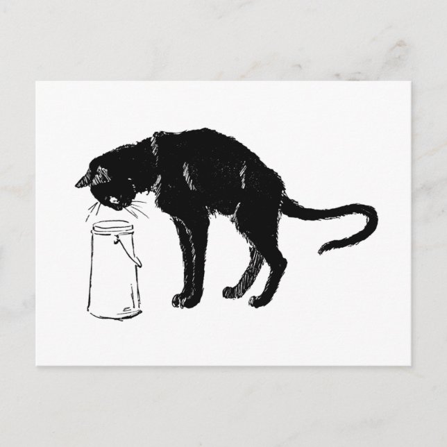 Postal Gato negro, Alexandre Steinlen (Anverso)