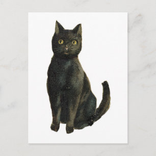 Postal Gato negro anticuado de Halloween