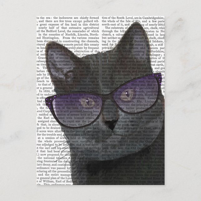 Postal Gato negro con gafas de sol 2 (Anverso)