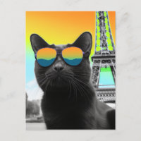 Gato negro con gafas de sol en París