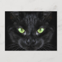 Gato negro con ojos verdes