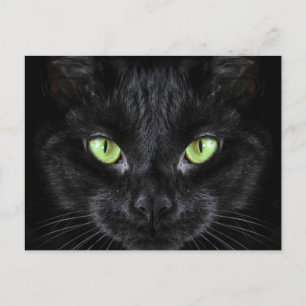 Postal Gato negro con ojos verdes