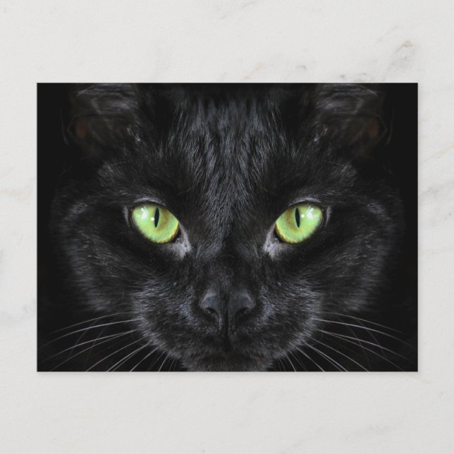 Postal Gato negro con ojos verdes (Anverso)