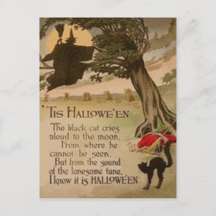 Postal Gato negro de calabaza de la luna llena de bruja
