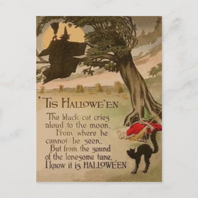 Postal Gato negro de calabaza de la luna llena de bruja (Anverso)