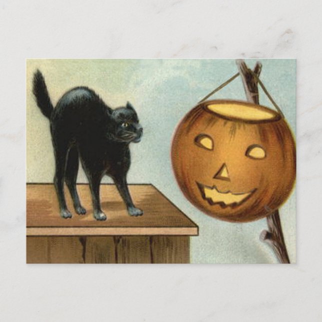 Postal Gato Negro de Calabaza Linterna de Jack (Anverso)