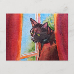 Postal Gato negro de chocolate con cortinas
