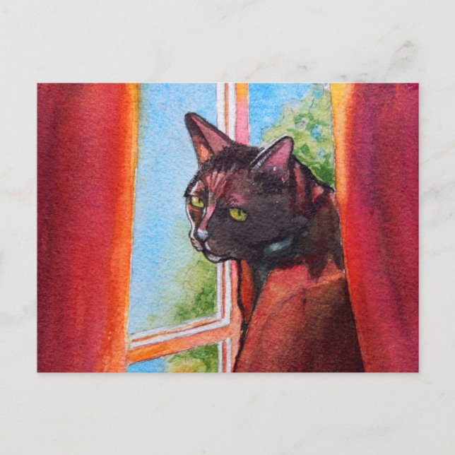 Postal Gato negro de chocolate con cortinas (Anverso)