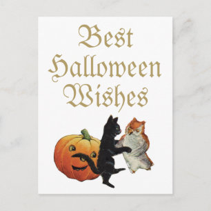 Postal Gato negro de Halloween, búho y calabaza