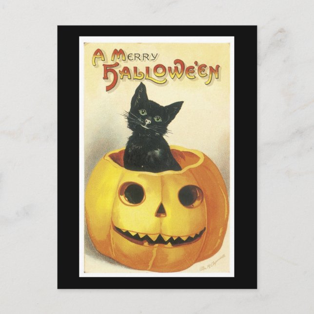 Postal Gato negro de Halloween y calabaza (Anverso)