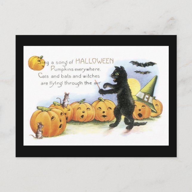 Postal Gato negro de Halloween y calabaza (Anverso)