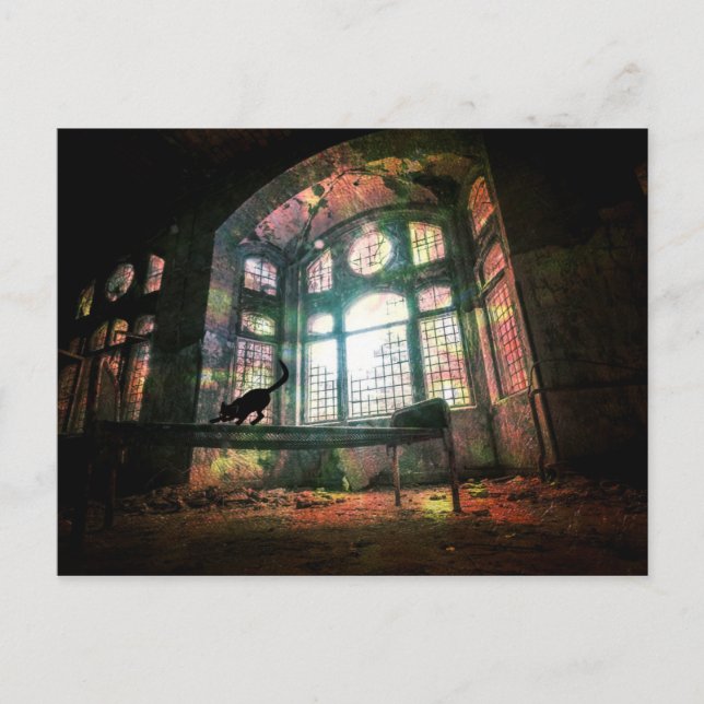 Postal Gato negro de vidrio manchado viejo y deshielo urb (Anverso)