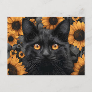 Postal Gato negro en el campo del girasol