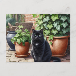 Postal Gato Negro en el Jardín Amantes de los Gatos
