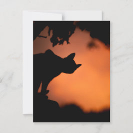 Postal Gato negro en Halloween al atardecer