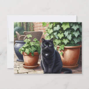 Postal Gato negro en los amantes del gato en el jardín