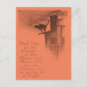 Postal Gato Negro En Tejado Luna Llena