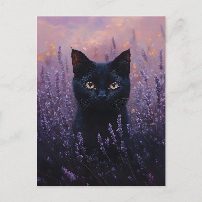 Postal Gato negro en un Ilustracion de campo de lavanda