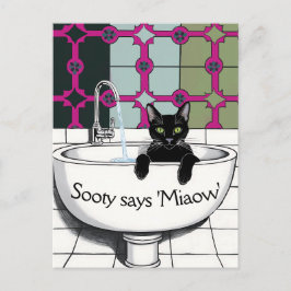 Postal Gato negro en un rosado, lavar la habitación, lava