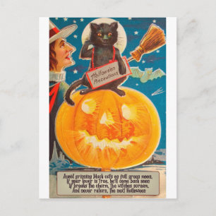 Postal Gato negro está sentado en una gran calabaza brill