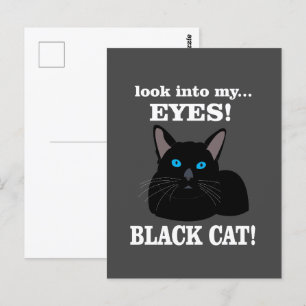 Postal Gato Negro Gatito Amante de los Animales Gato Negr