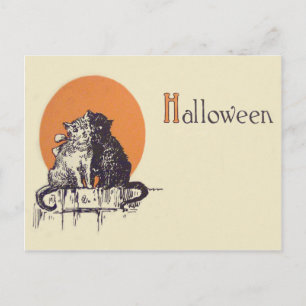 Postal Gato negro gato blanco romance de luna llena