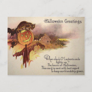 Postal Gato Negro Jack O' Lantern Calabaza Murciélago Búh