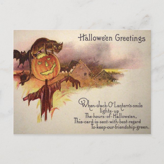 Postal Gato negro Jack O' Lantern Pumpkin Bat Owen (Anverso)