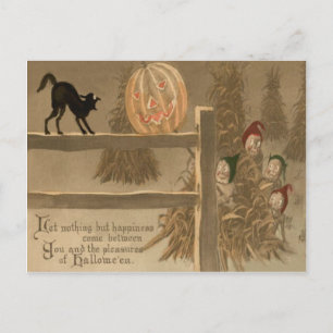 Postal Gato Negro Jack O Linterna Calabaza Pajarera