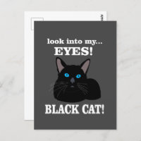 Gato negro Kitty Animal Lover Black Cat