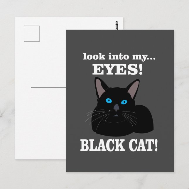 Postal Gato negro Kitty Animal Lover Black Cat (Anverso / Reverso)
