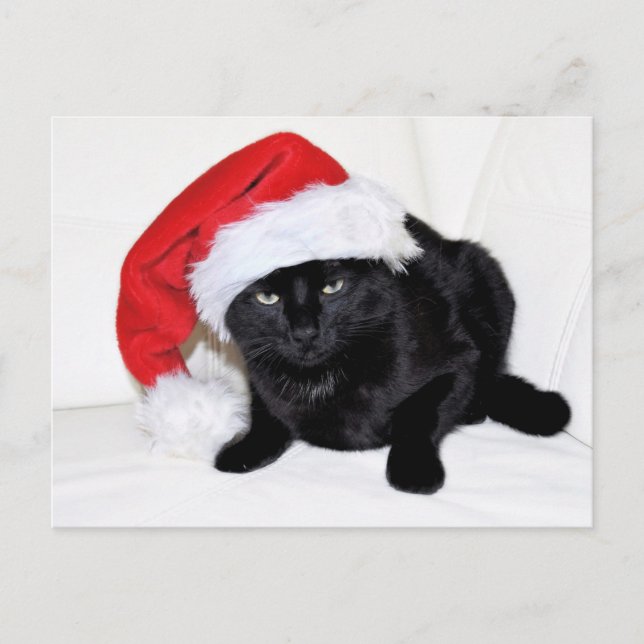 Postal Gato negro lindo con sombrero Santa (Anverso)