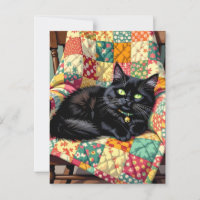 Gato negro lindo | Manteniéndose en contacto