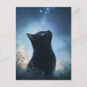 Postal Gato Negro Mirando el Cielo Nocturno de la Constel
