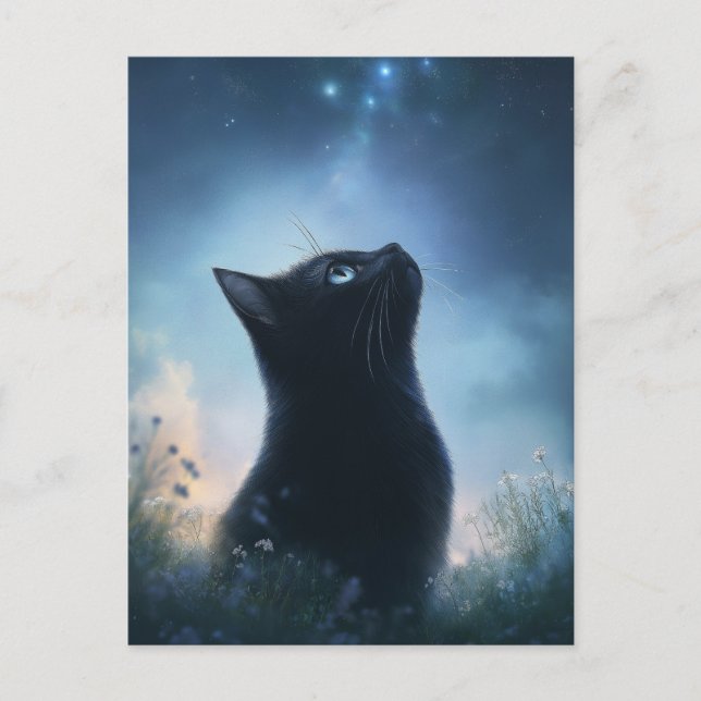 Postal Gato Negro Mirando el Cielo Nocturno de la Constel (Anverso)