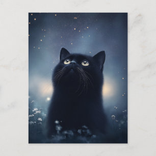 Postal Gato Negro Mirando Hacia Arriba al Cielo Nocturno 