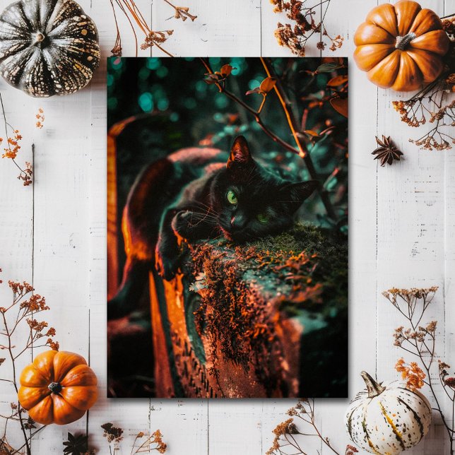 Postal Gato negro oculto gótico en el cementerio (Subido por el creador)