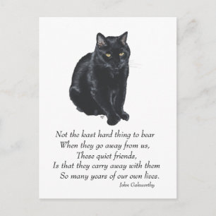 Postal Gato Negro Puente Arcoíris