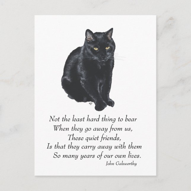 Postal Gato Negro Puente Arcoíris (Anverso)