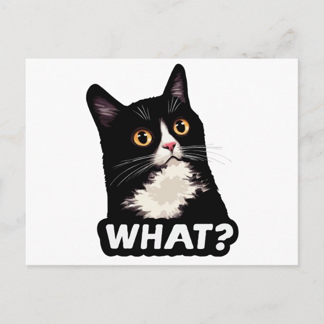 Postal Gato Negro ¿Qué? (Anverso)