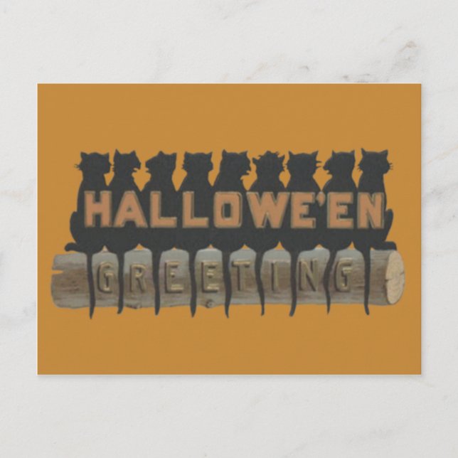 Postal Gato Negro Sentado En La Sombra De Registro (Anverso)