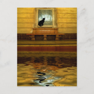 Postal Gato negro sobre el agua