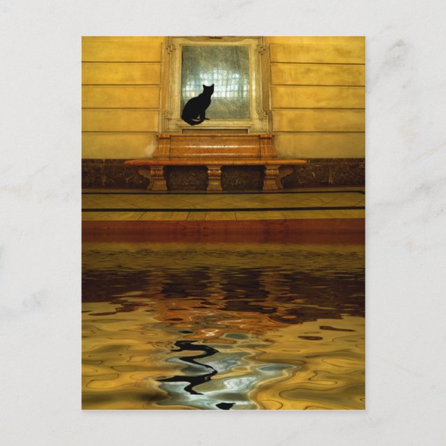 Postal Gato negro sobre el agua (Anverso)