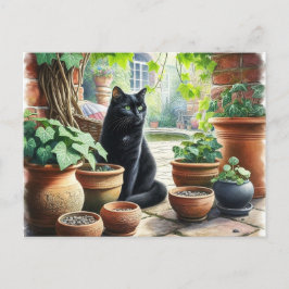 Postal Gato negro vigilando crecer hierba gatera adorable