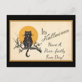 Postal Gato negro vintage
