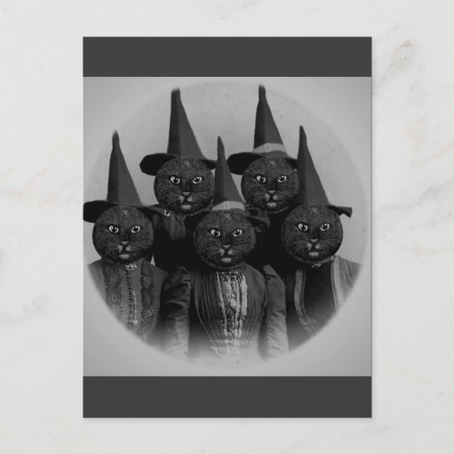 Postal Gato negro vintage/brujas (Anverso)