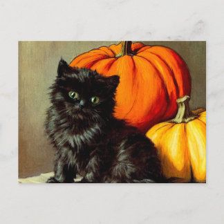Postal Gato negro vintage de Halloween y calabazas