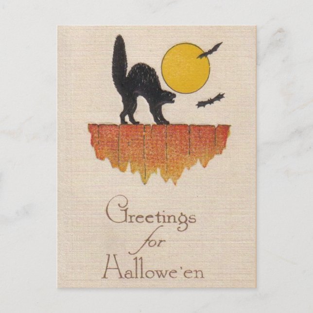 Postal Gato negro vintage, grito, Halloween (Anverso)
